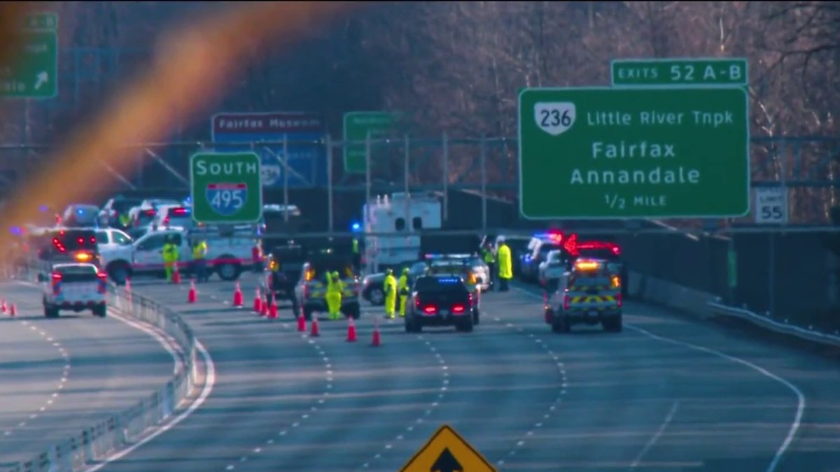 Woman and dog killed in Beltway road rage stabbing rampage in Va ...