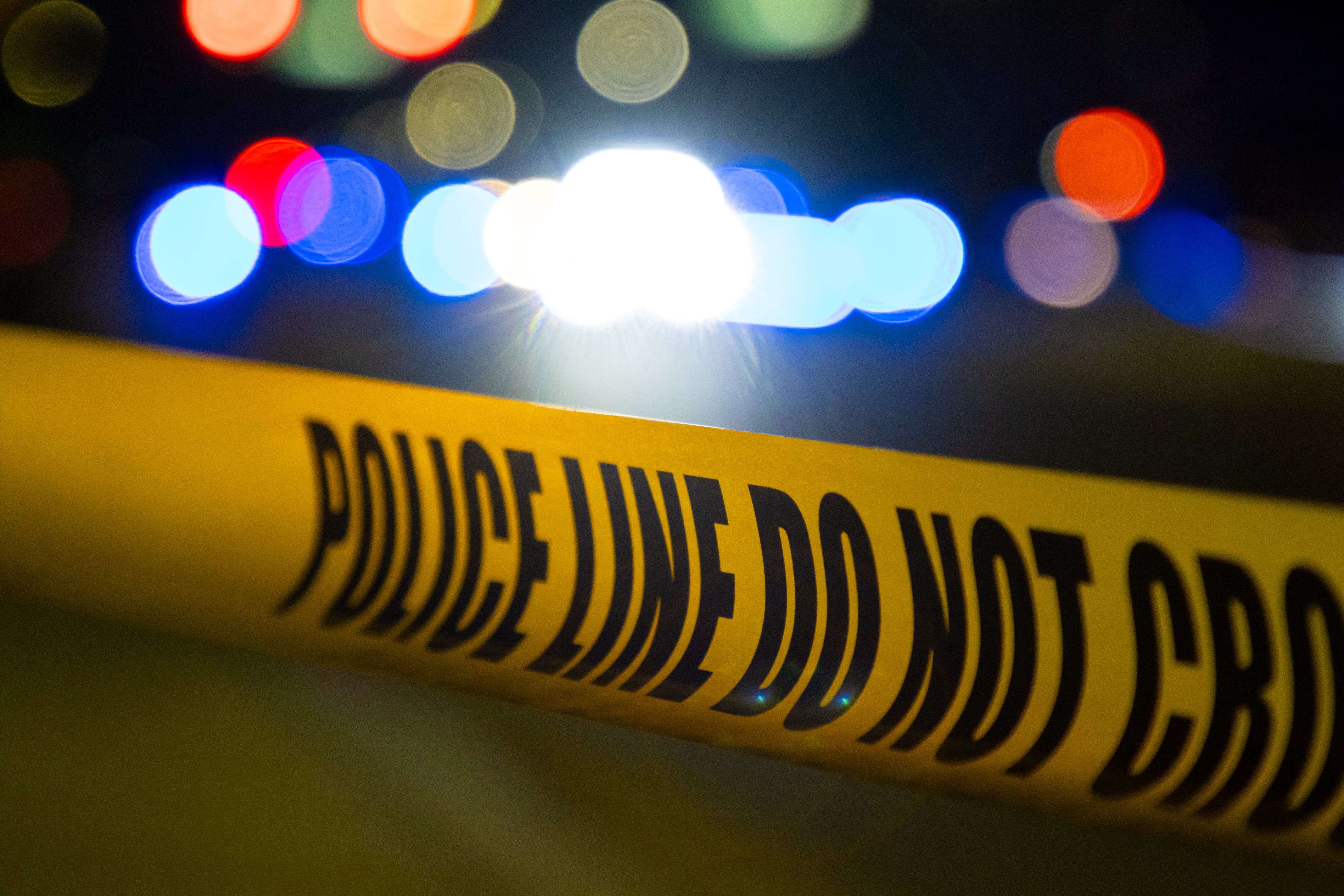 Human remains found in wooded area of Northeast Philadelphia, police say