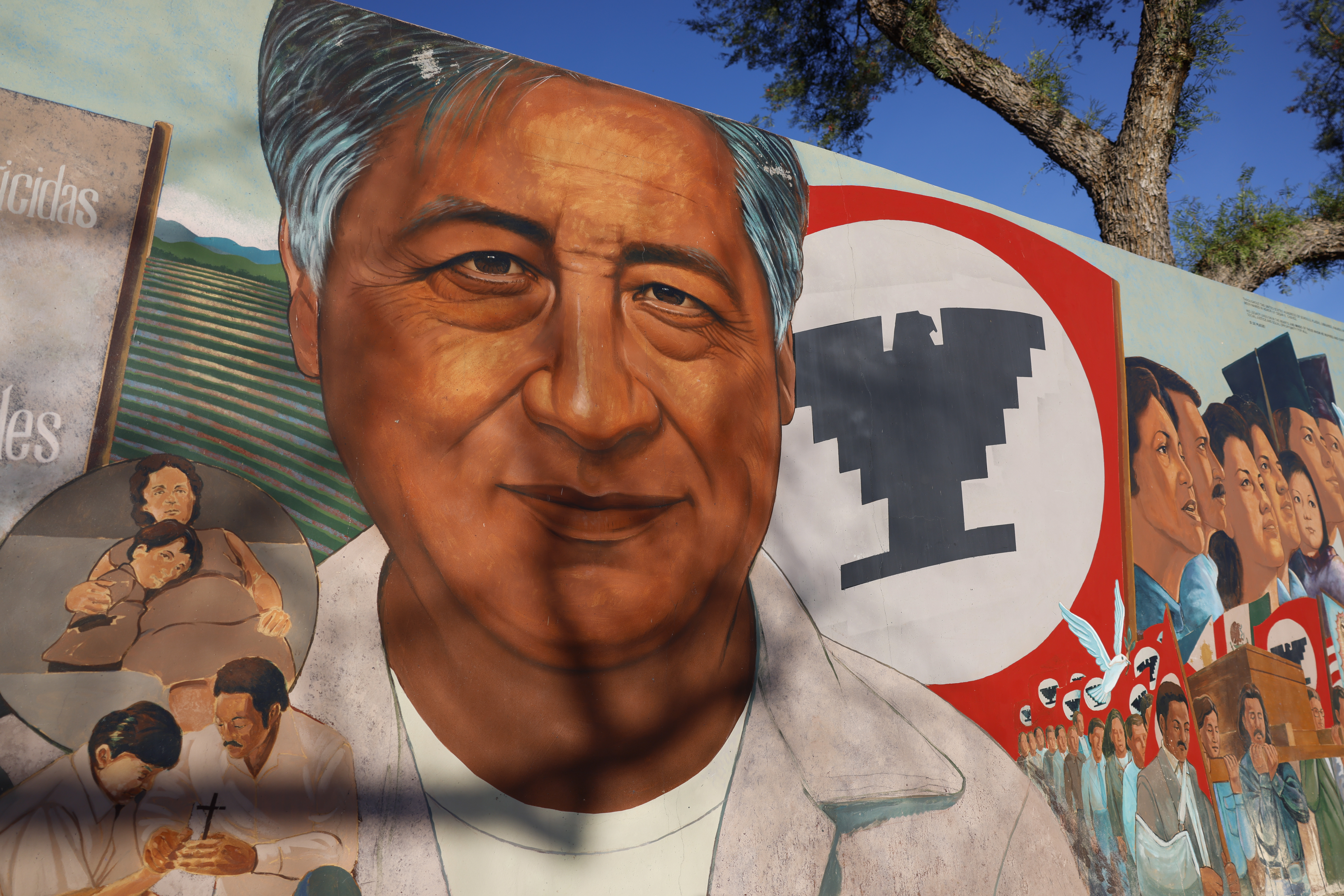 César Chavez Day events renamed, postponed or canceled after sexual abuse allegations