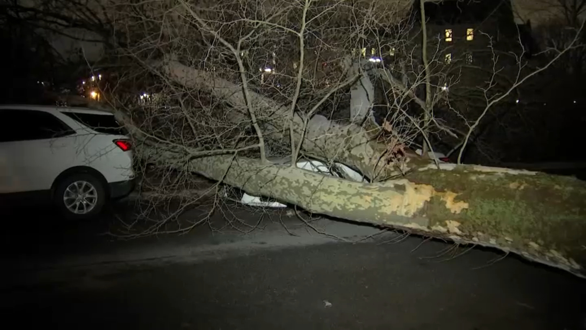 Overnight storms cause damage, power outages throughout the Philadelphia region