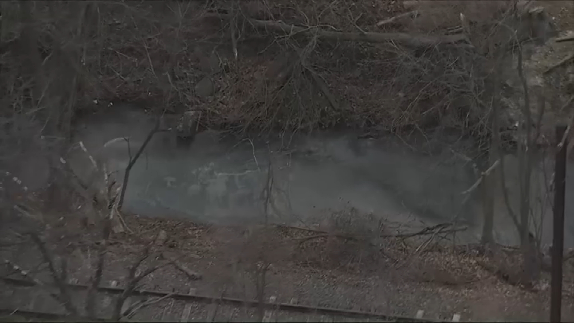 Business may face fines after milky white substance seen in Chester County creek