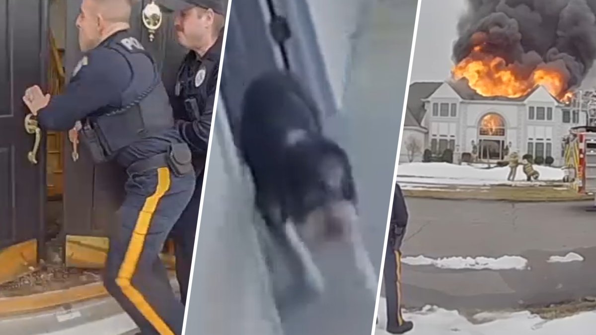 4 officers rescue dog from burning home moments before collapse – NBC10 ...