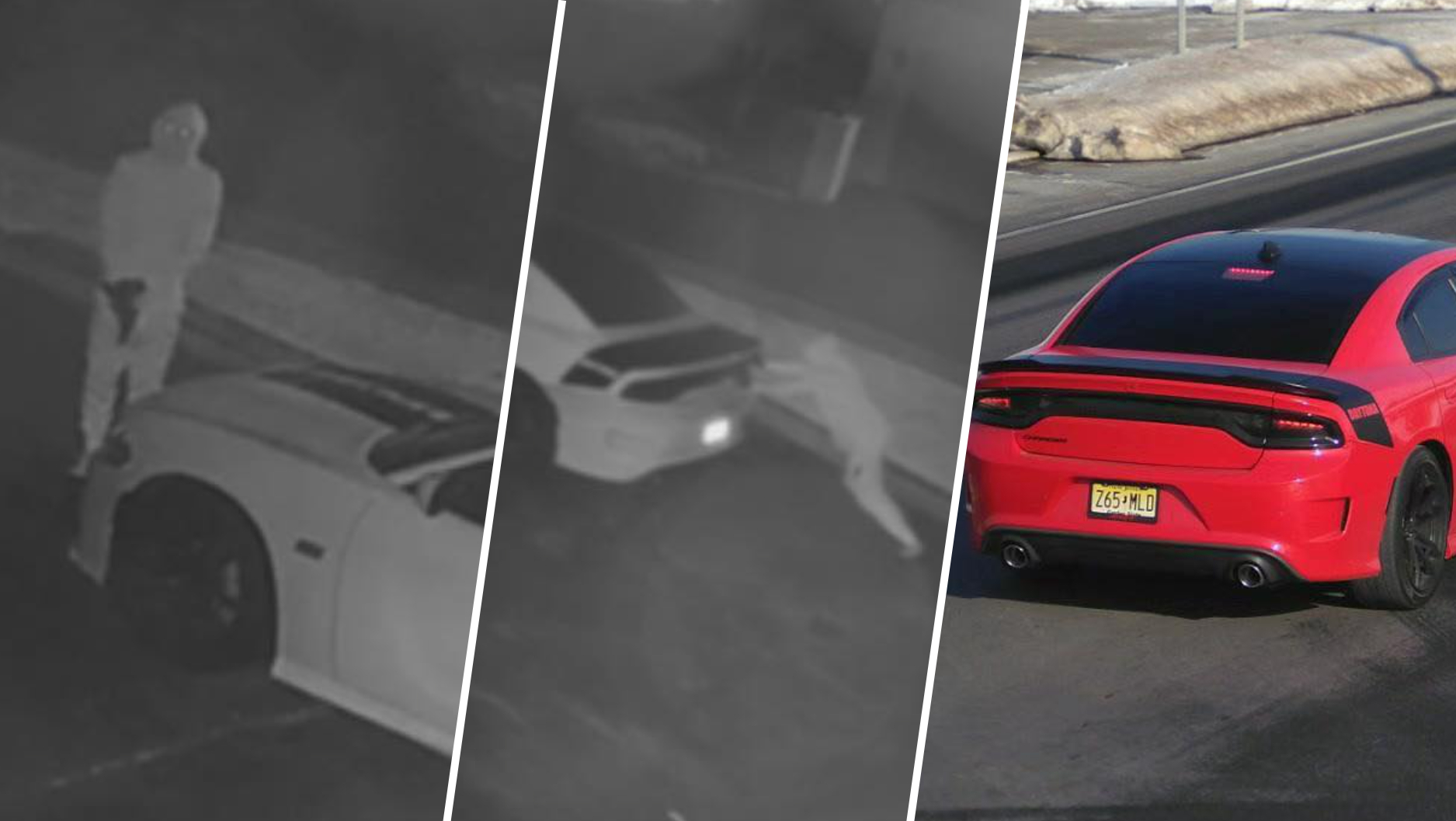 Caught on camera: Modified Dodge Charger stolen from NJ driveway, police say