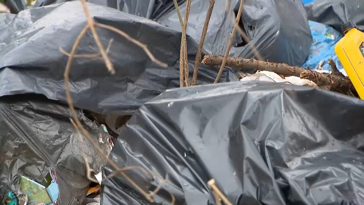 Philly home surrounded by illegal dumping sites: ‘Foxes, raccoons and big rats