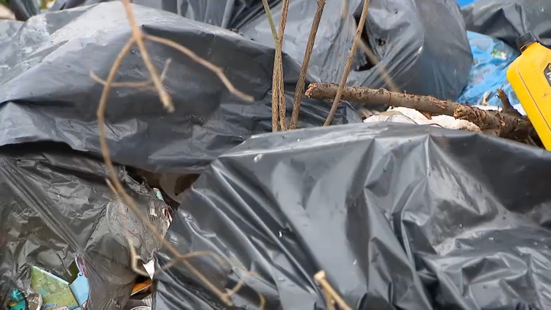 Philly home surrounded by illegal dumping sites: ‘Foxes, raccoons and big rats