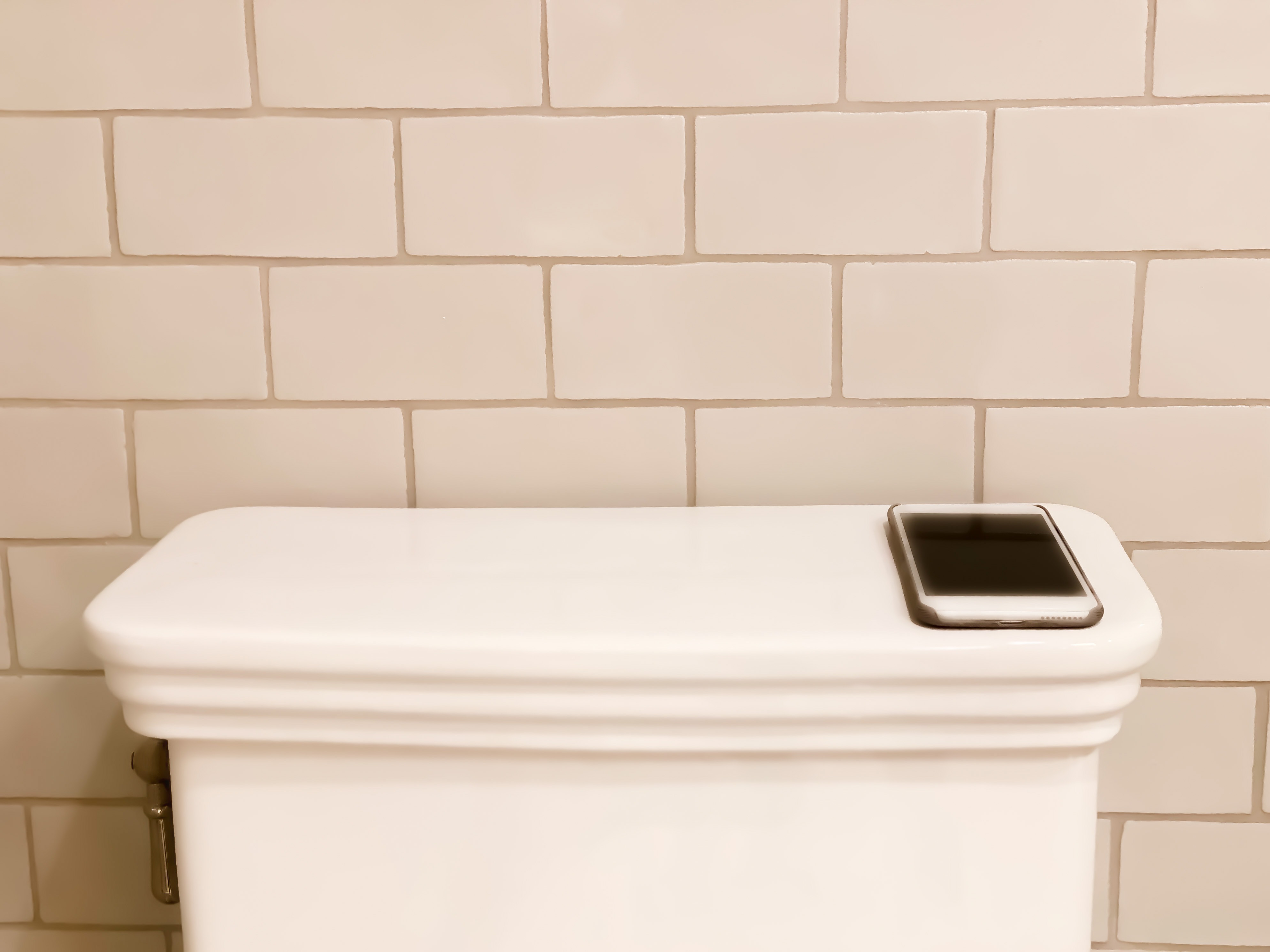 Got a bathroom problem? New guidelines urge more fiber, less scrolling