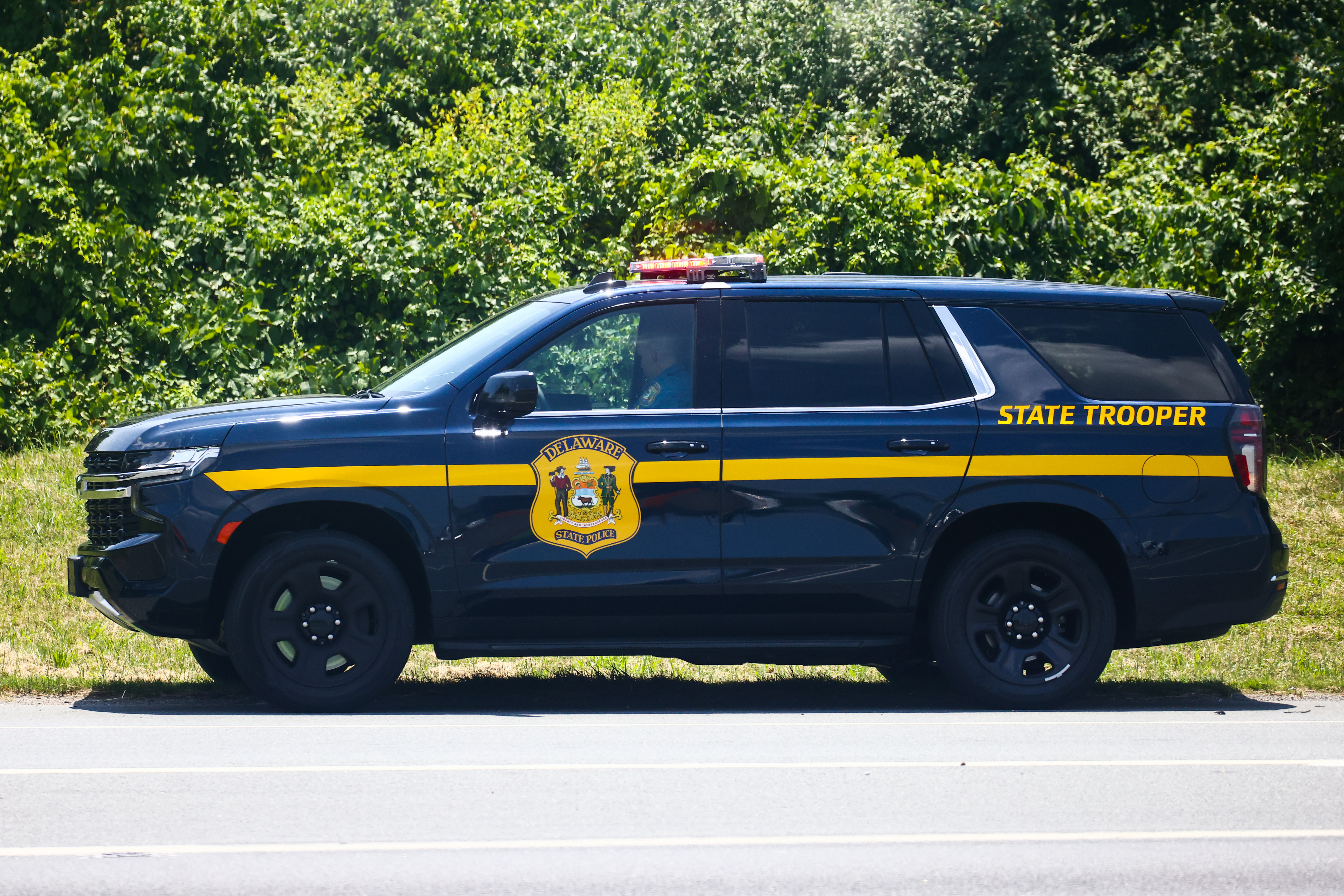 Woman accused of assaulting state trooper during stolen vehicle investigation