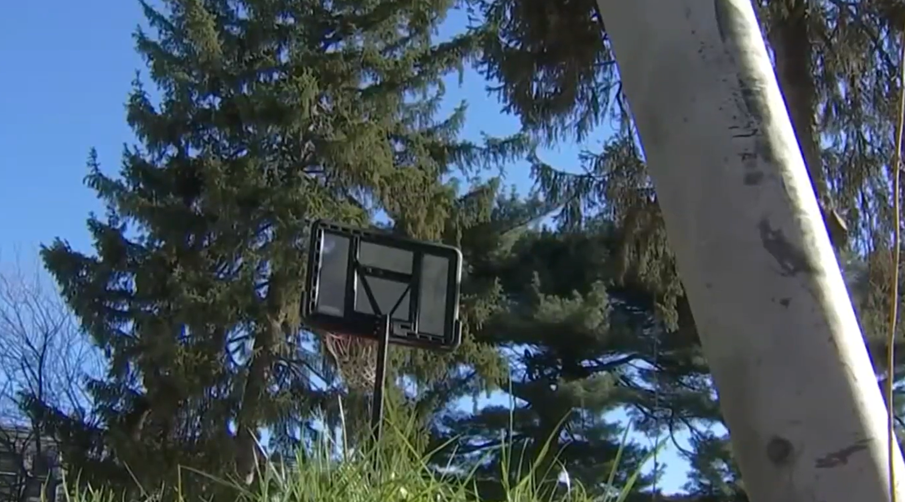 Memorial tree to be planted in honor of 13-year-old boy killed in West Oak Lane