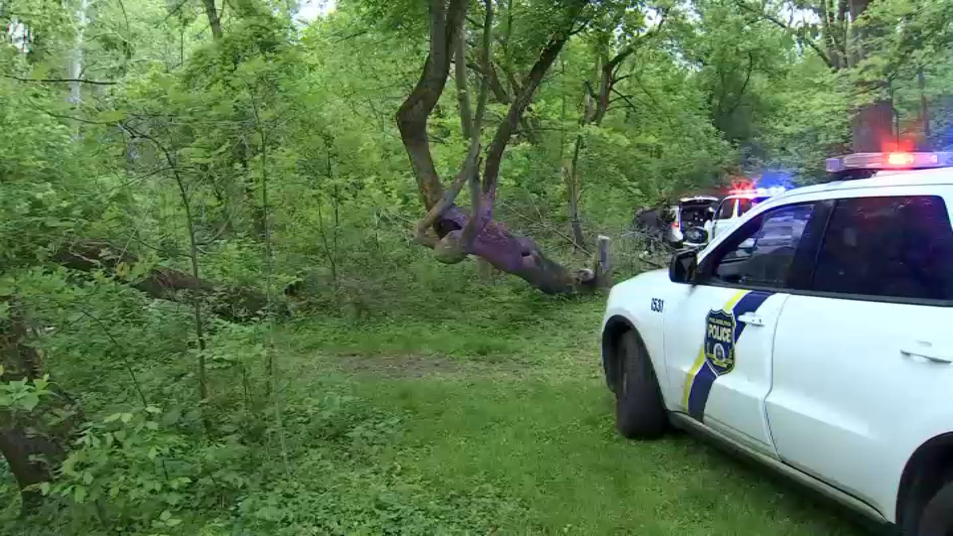 ‘Badly decomposed' body found in creek at Pennypack Park on Tuesday, police say