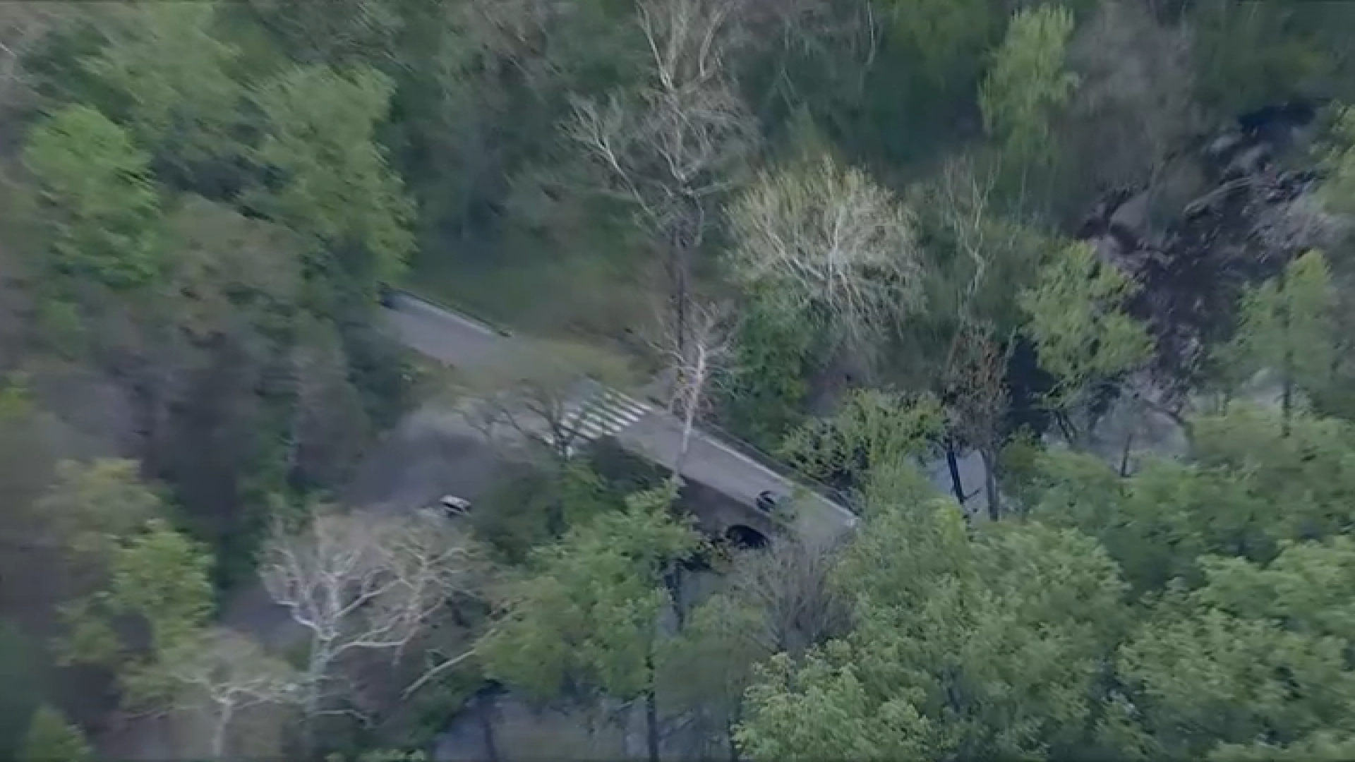 Human remains found near Wissahickon Creek in Northwest Philly, police say