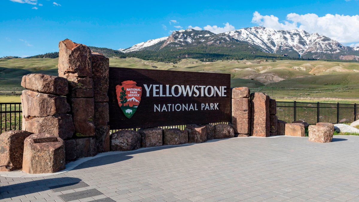 2 hikers injured in bear attack on Yellowstone trail