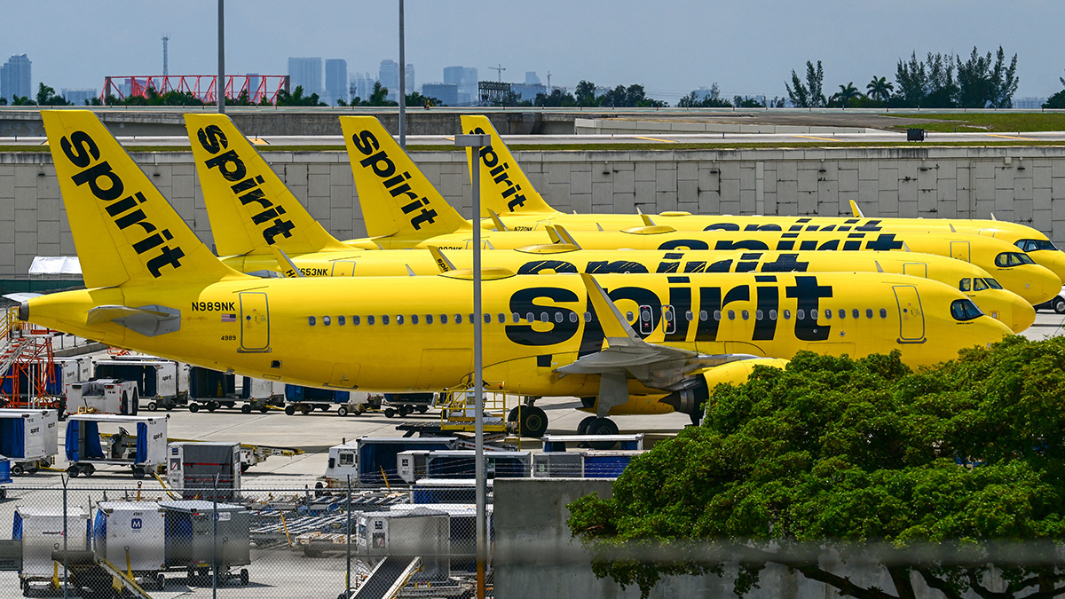 TikToker launches crowdfunding campaign to buy Spirit Airlines: ‘Owned by the people'