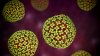 2 New Jersey residents potentially exposed to hantavirus, health officials say