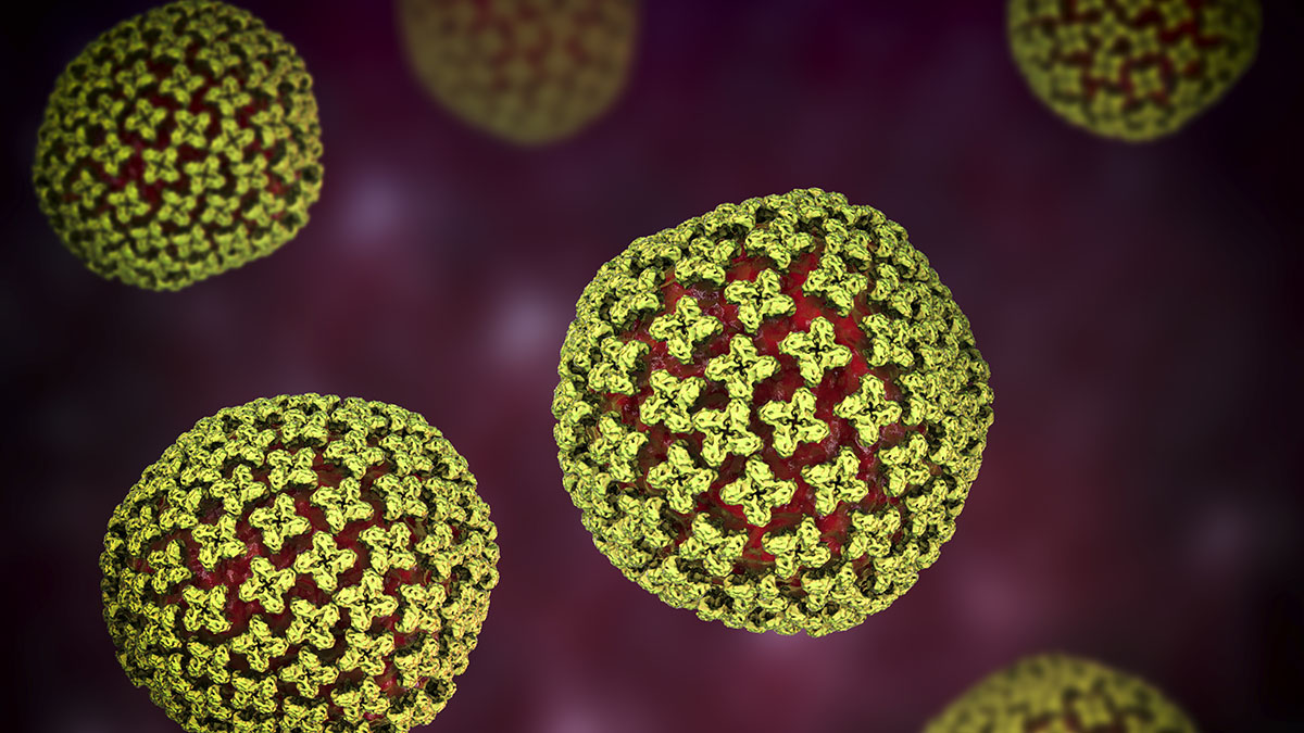 2 New Jersey residents potentially exposed to hantavirus, health officials say