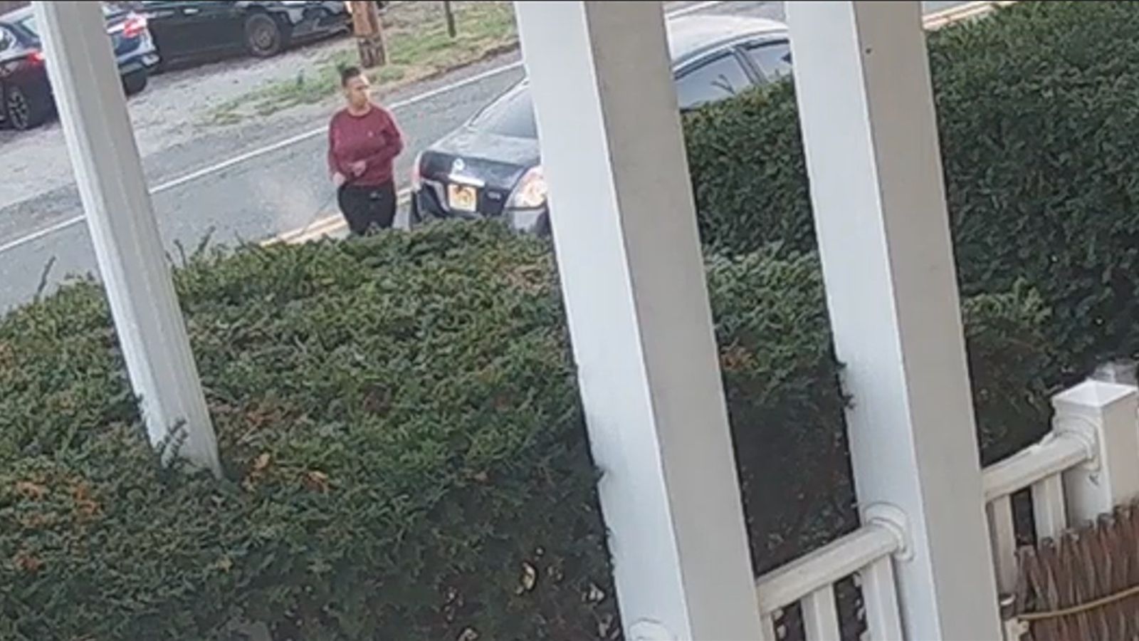 Dog found abandoned on side of the road in New Jersey – NBC10 Philadelphia