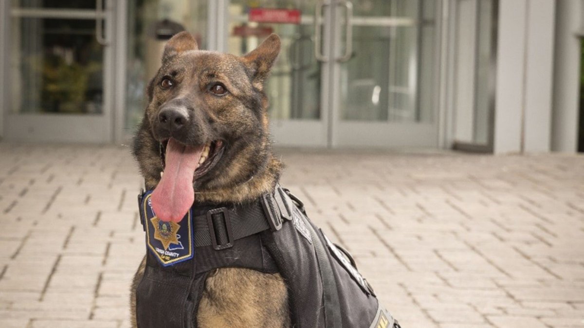 Lehigh County Sheriff's Office's first-ever K-9 passes away