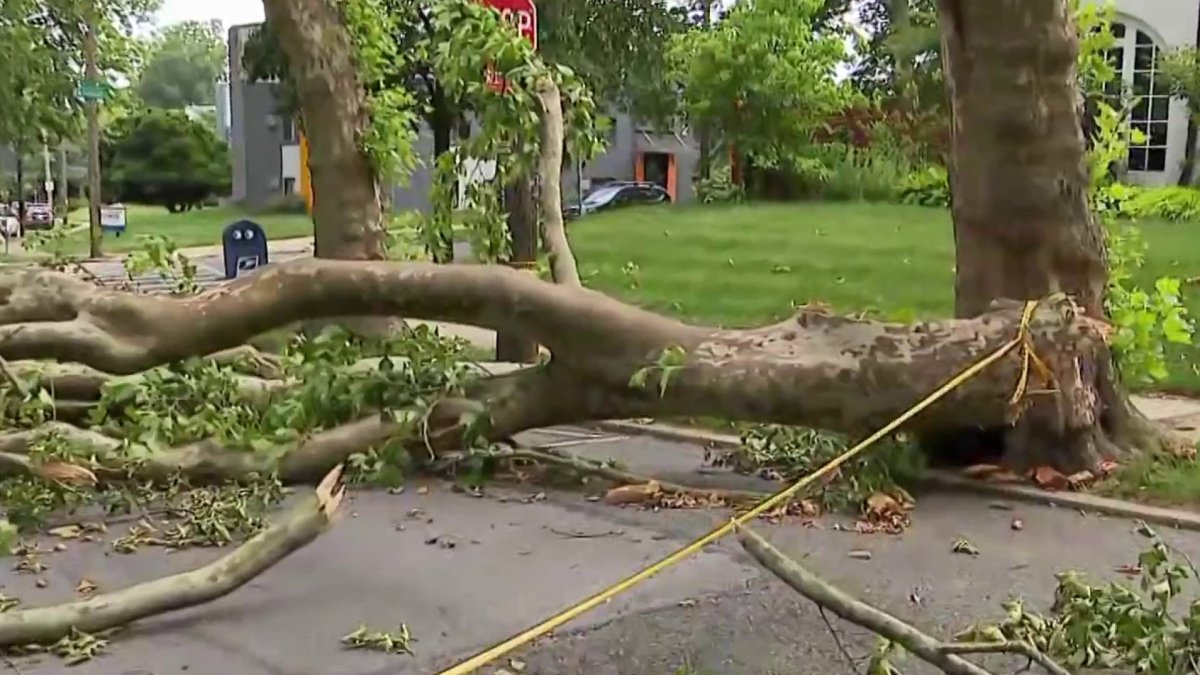 Storms across the Philly-area lead to thousands losing power – NBC10 ...
