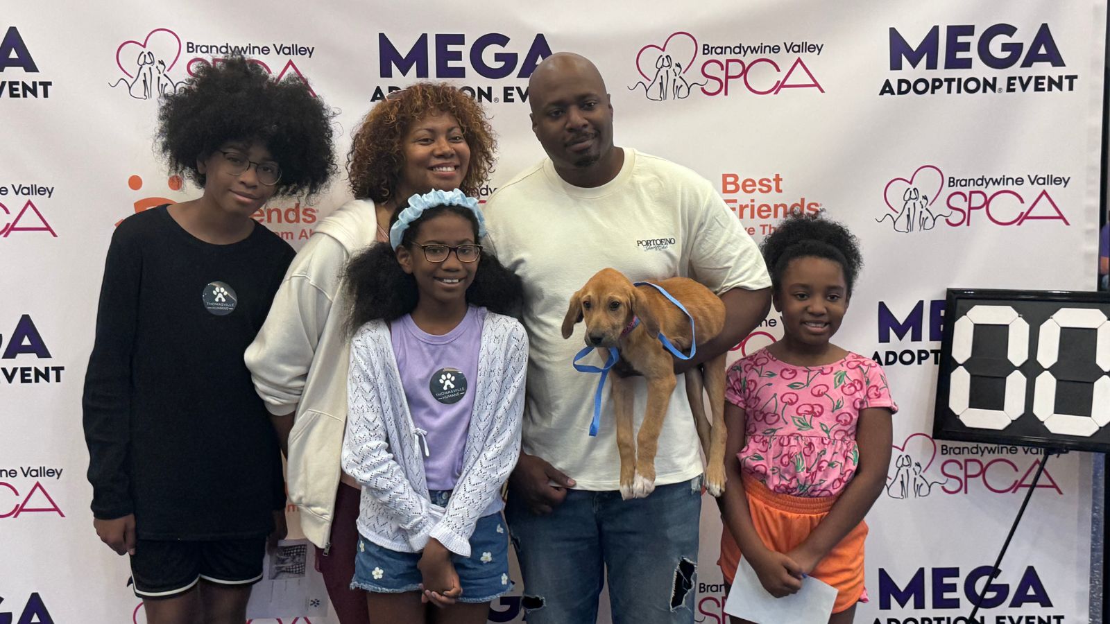 Mega adoption event helps over 1,200 pets find homes – NBC10 Philadelphia