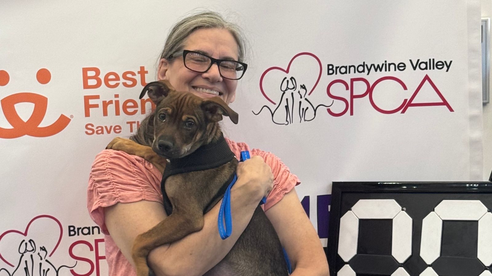 Mega adoption event helps over 1,200 pets find homes – NBC10 Philadelphia