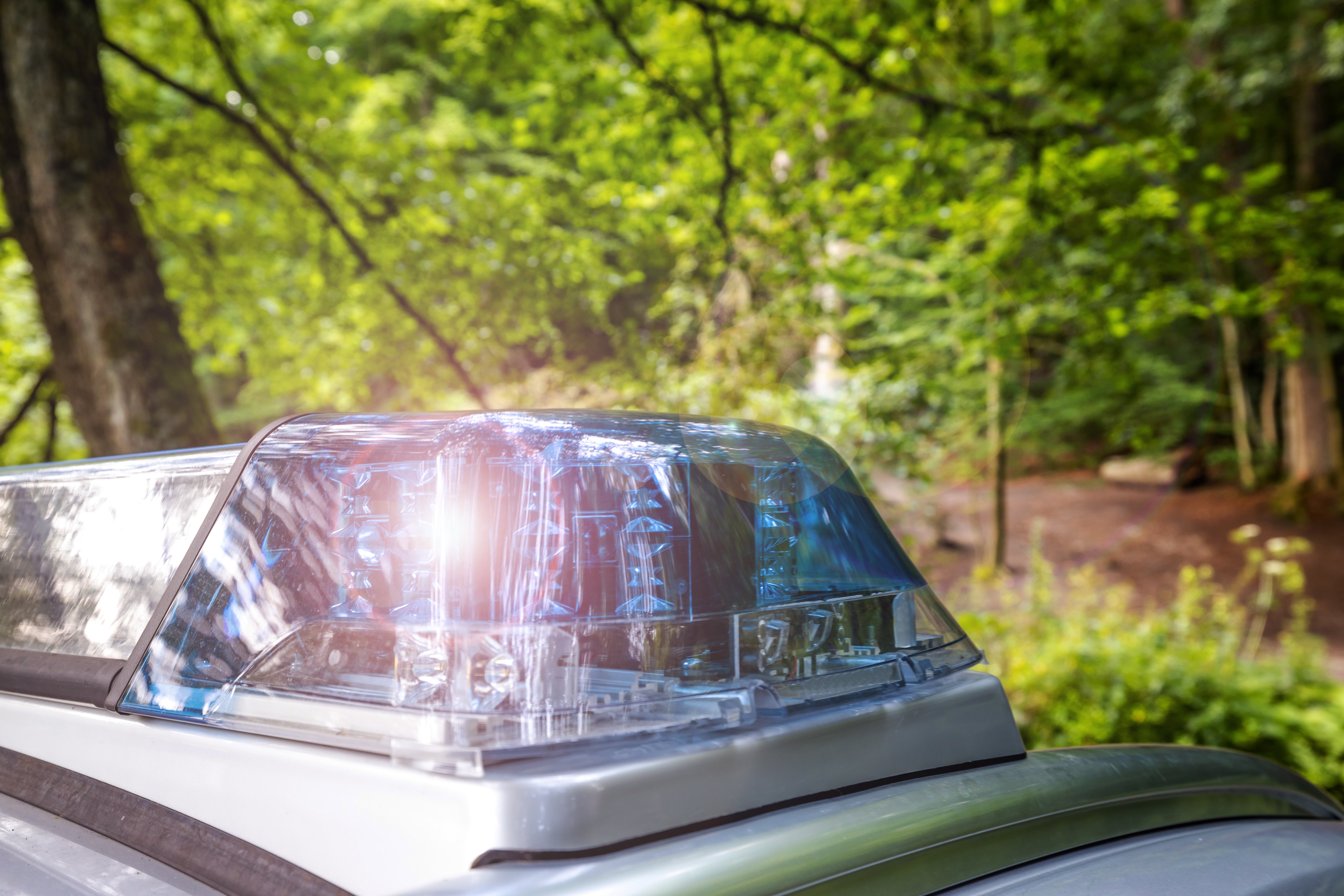 Death investigation underway after body found in wooded area behind Dover DMV