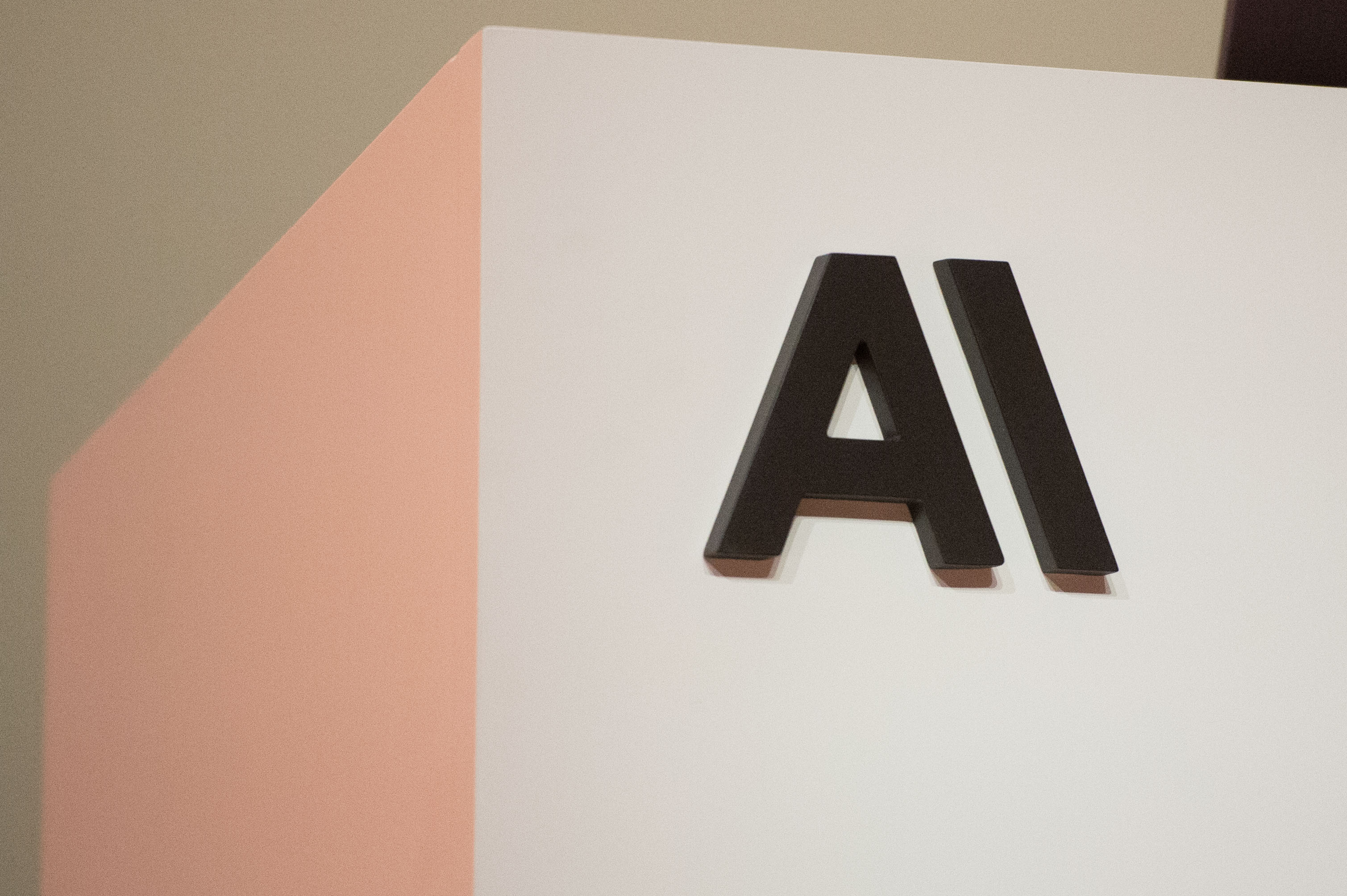 Anthropic suspends new AI models after government directive