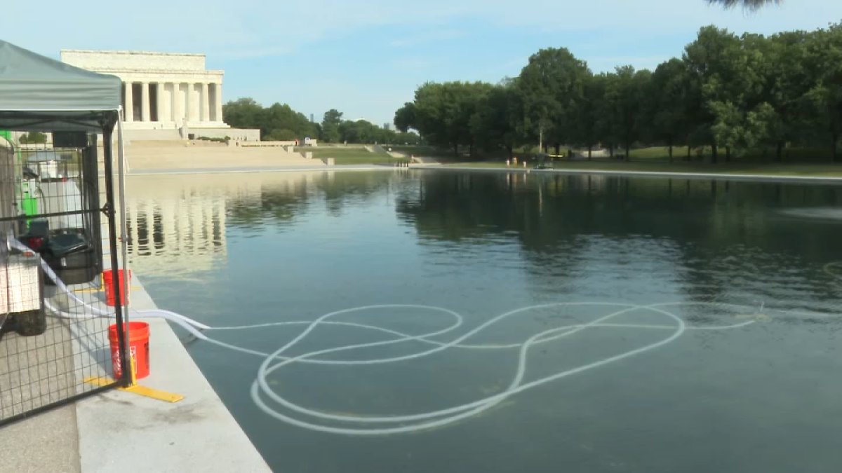Reflecting Pool Rips At least 5 arrested in alleged tampering of Reflecting Pool – NBC10 ...