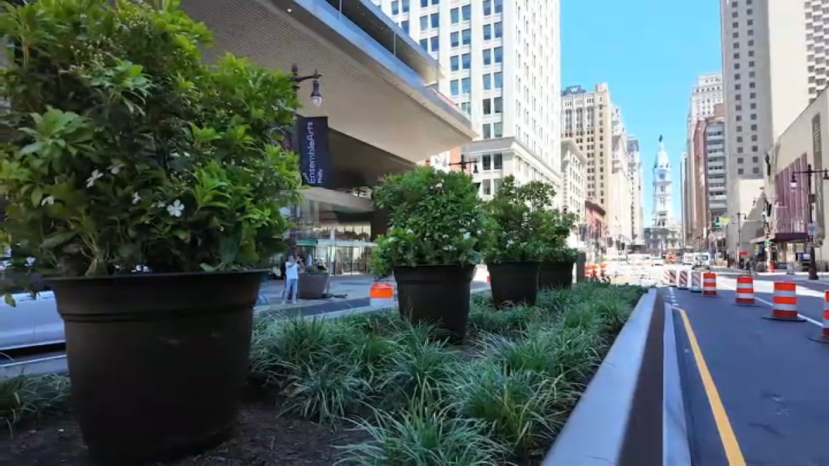 Green medians unveiled on South Broad as safety transformation project begins