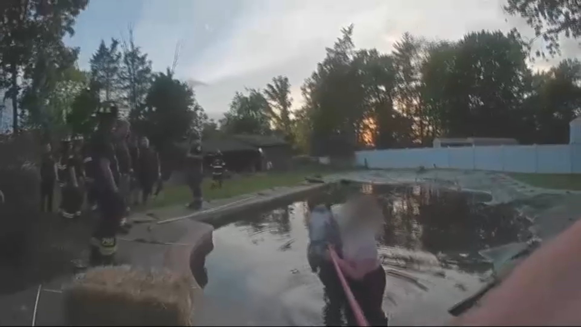 Video: Montgomery County first responders rescue blind horse from swimming pool