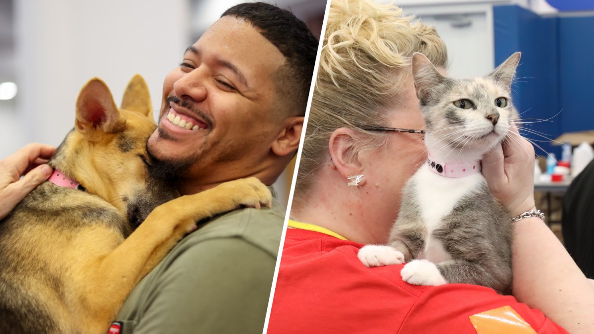Over 1,000 pets will be looking for homes at mega adoption event in Delaware
