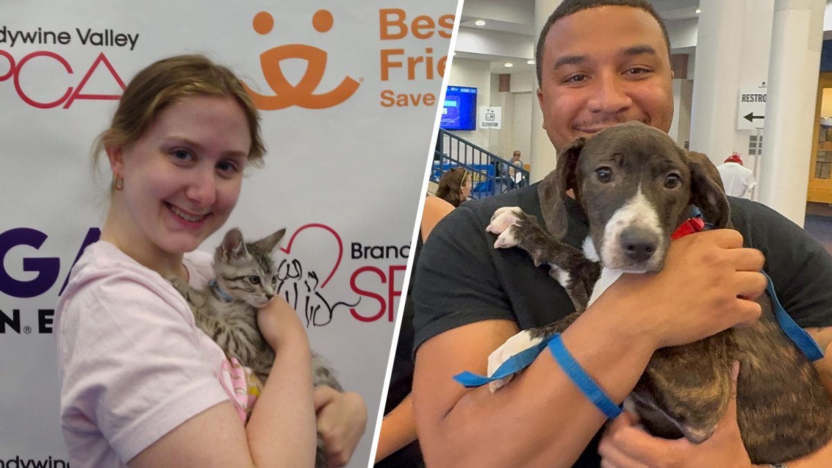 Over 1,200 pets find homes during Brandywine Valley SPCA's mega adoption event