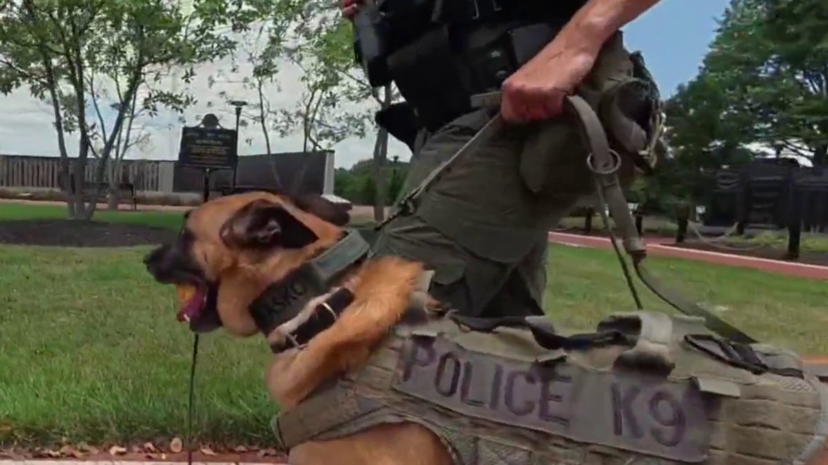New Jersey officer charged after two K-9s die in hot vehicle – NBC10 Philadelphia