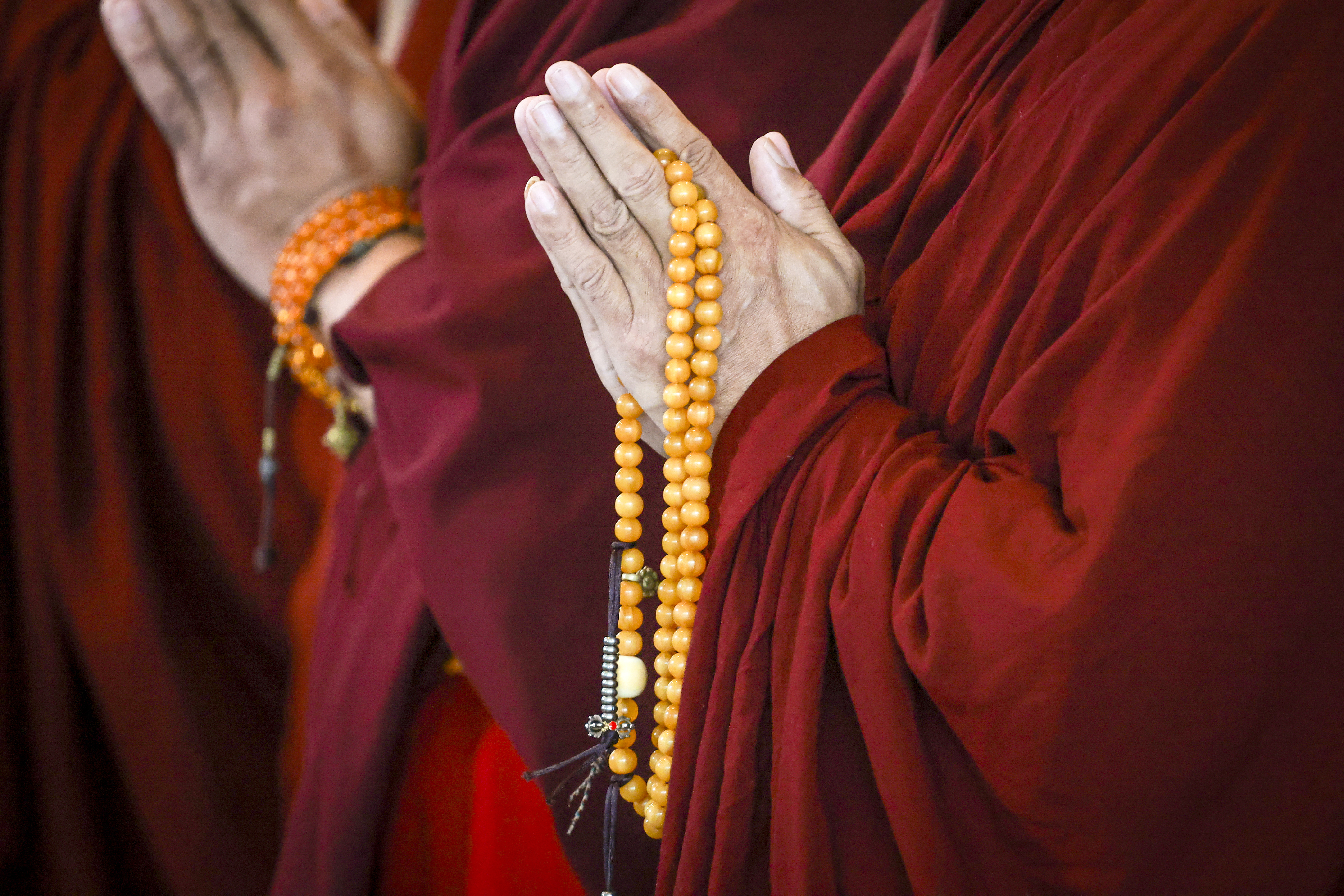 11-y-o-boy driving truck crashes into group of monks, killing 8 – NBC10 ...