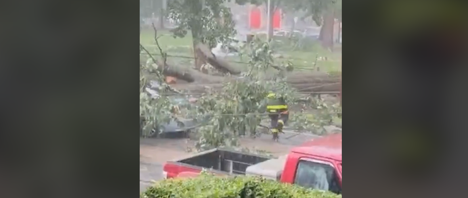 Severe thunderstorms cause damage; flash flood warnings remain in effect