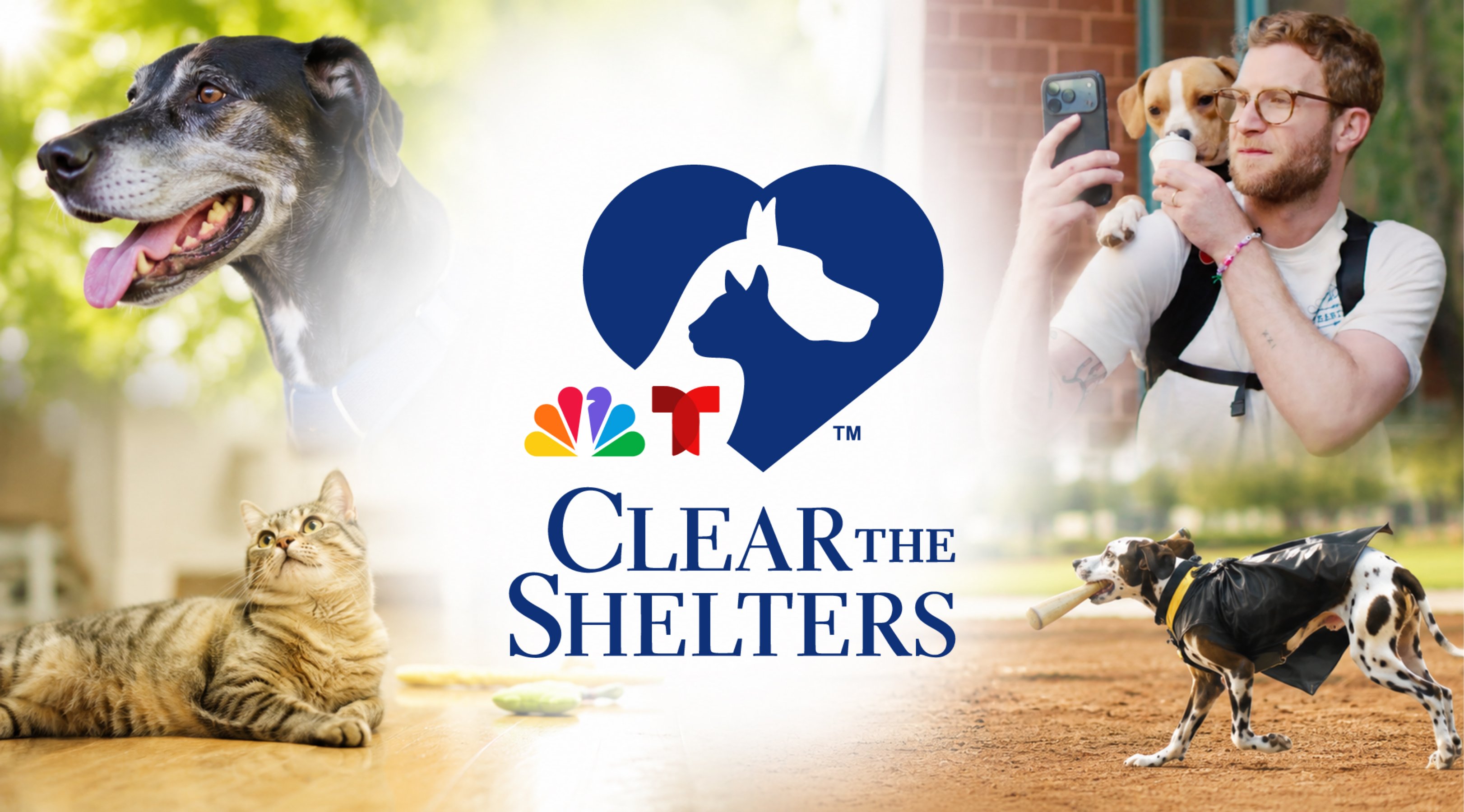 How to watch NBC's star-studded Clear The Shelters TV special