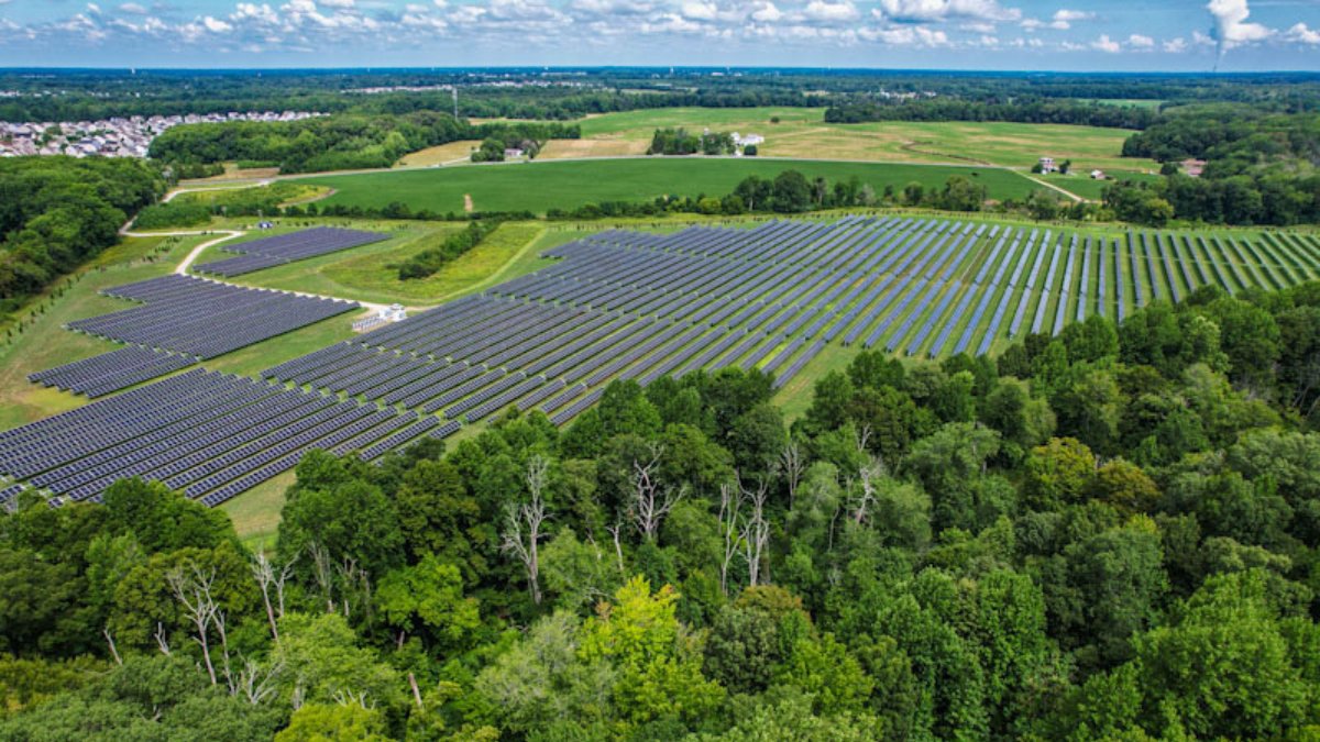 Delaware farmers converting farmland into solar plants
