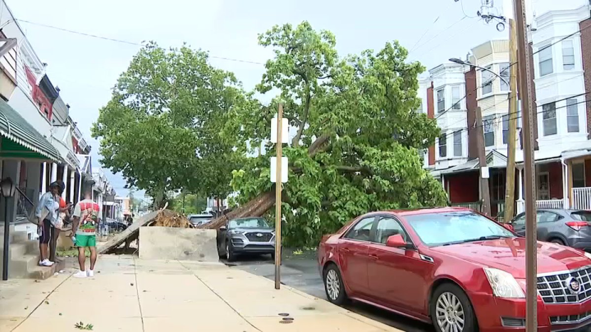 Cleanup underway after severe storms damage homes, topple trees across Philly