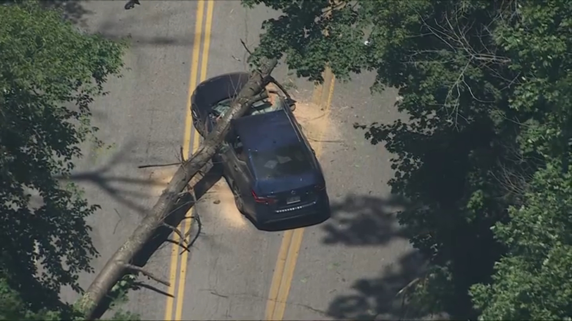 2 adults, 1 girl hurt after large tree falls on car in Lower Merion, police say