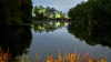 Accidental discharge of fire extinguishing agent reaches Grenloch Lake