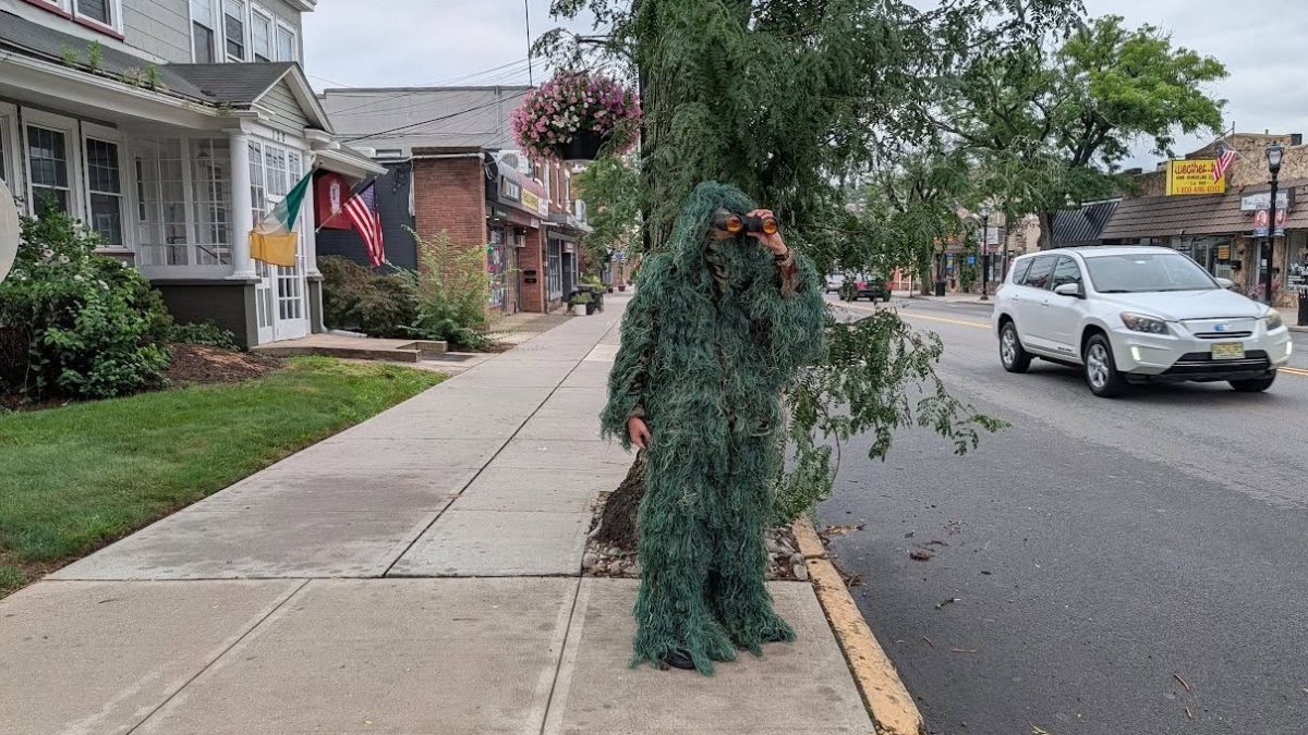 New Jersey officer disguises himself as a shrub to catch distracted drivers
