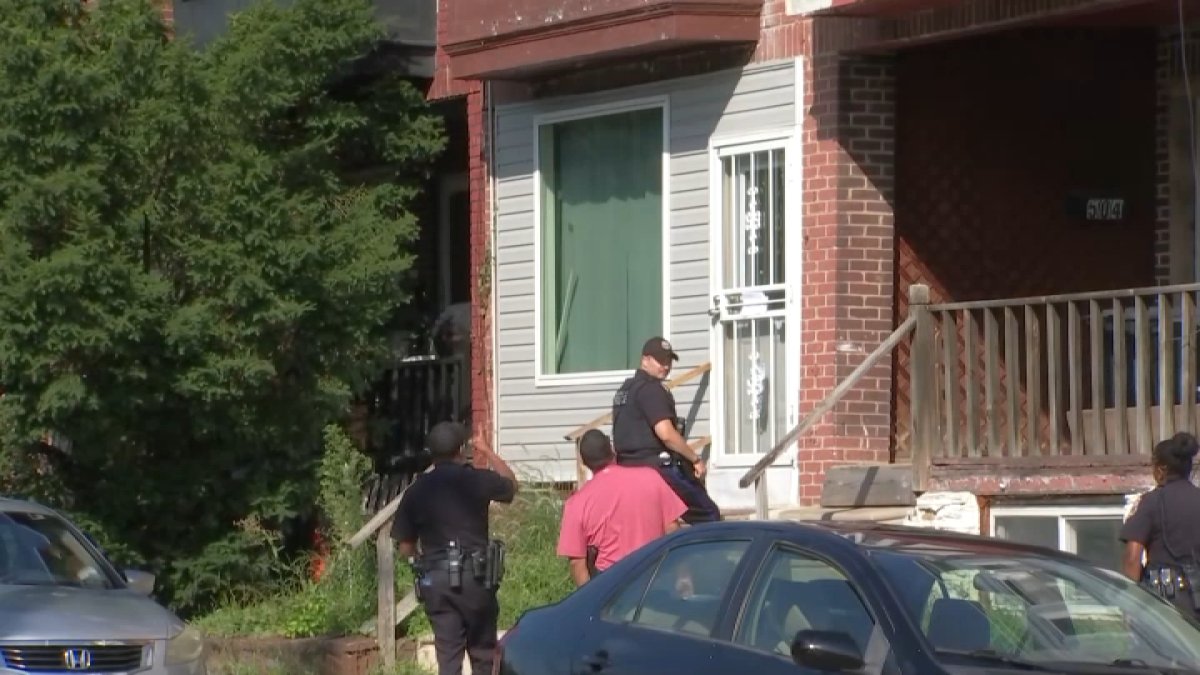 Assault News Image