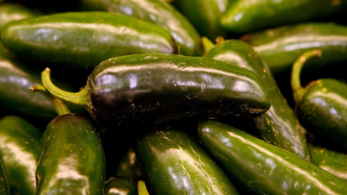 Salmonella outbreak linked to jalapeños at Chipotle, Qdoba expands to 27 states