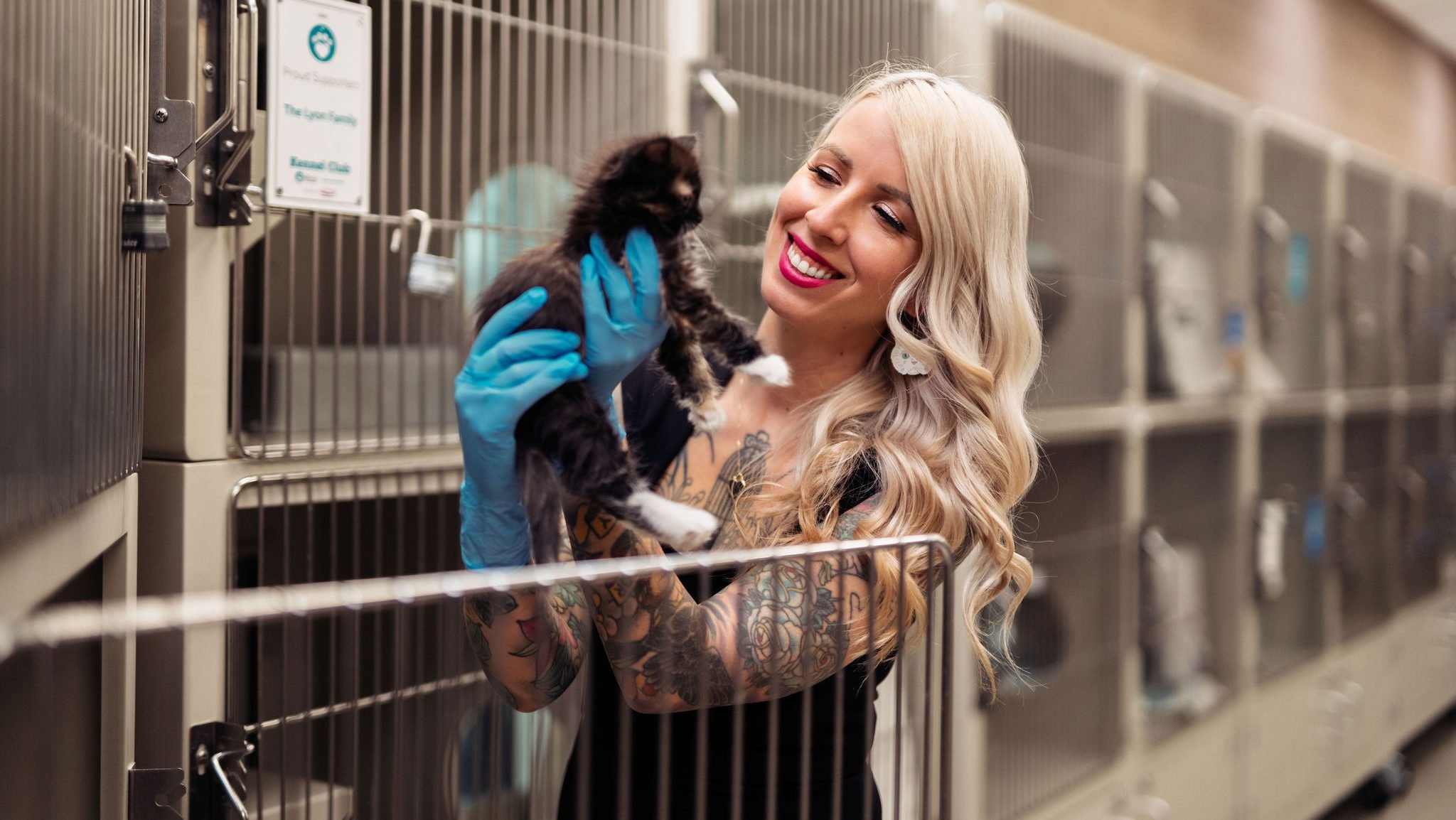 Considering adopting your first shelter pet? Animal advocate offers this advice