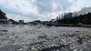 Thousands of dead fish leave some Jersey Shore residents dealing with stench