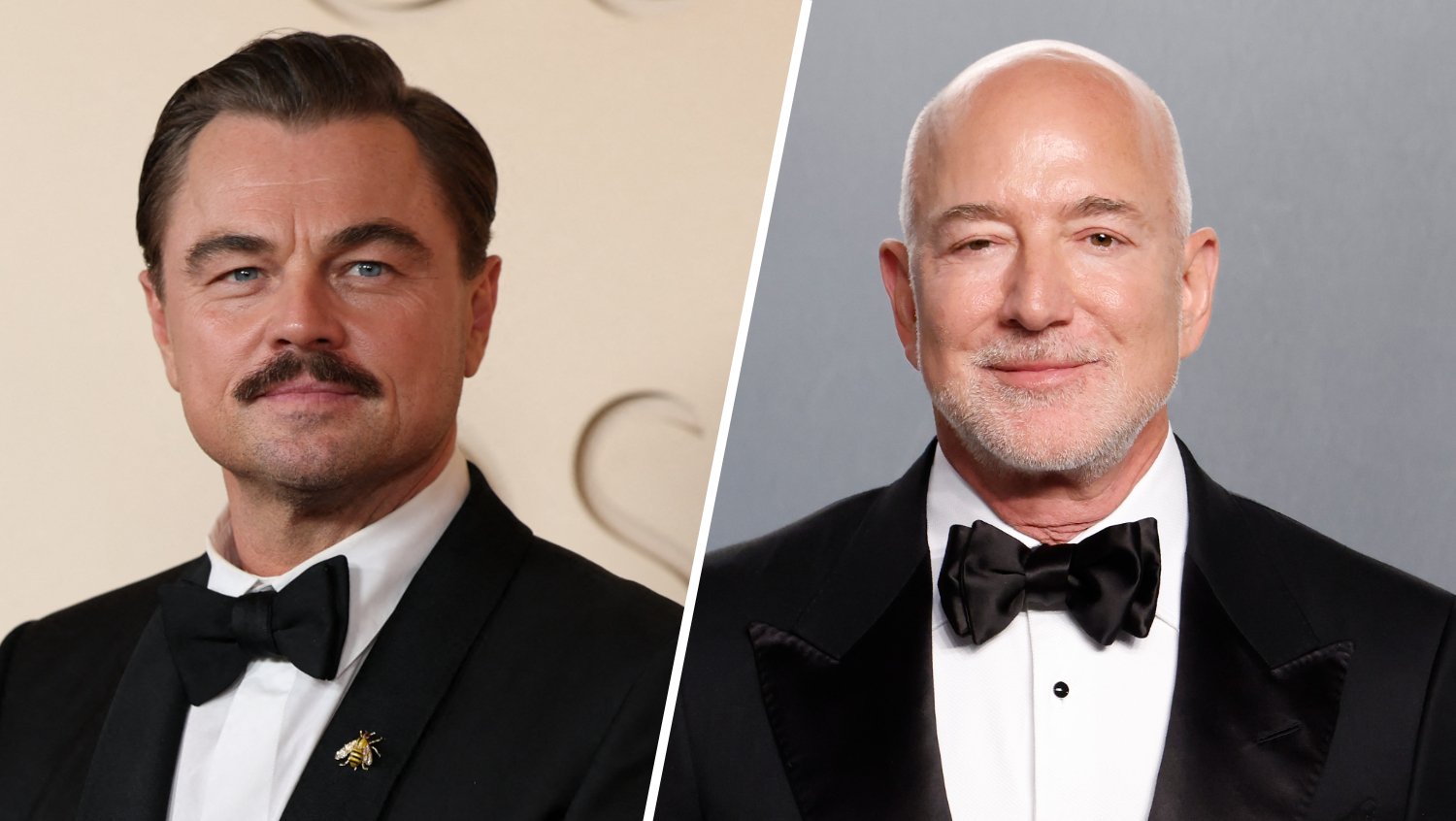 Leonardo DiCaprio and Jeff Bezos lead $200M project to save 100 threatened species