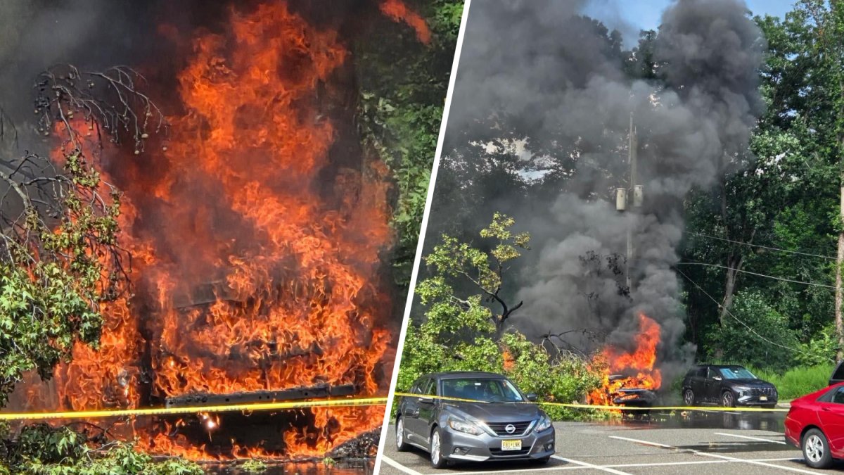 Tree limb falls onto power lines, cars which sparks NJ fire, officials say