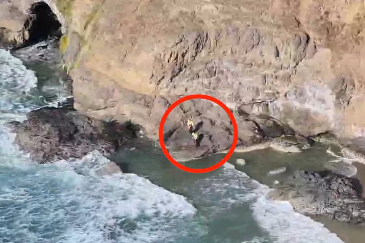 Tourists trapped on remote Oregon beach spell ‘SOS’ with driftwood ...