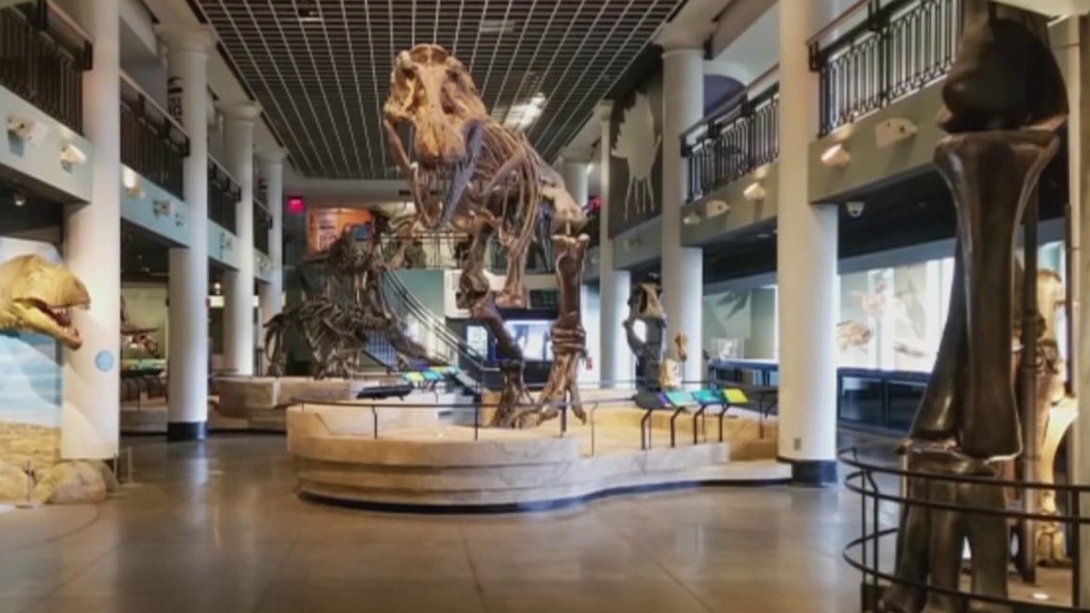 Academy of Natural Sciences of Drexel University closes museum after nearly 200 years