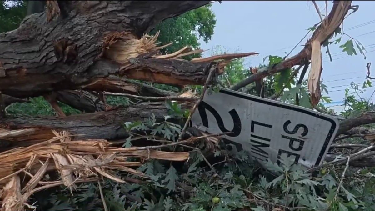 Surveying severe storm damage in Chester and New Castle counties