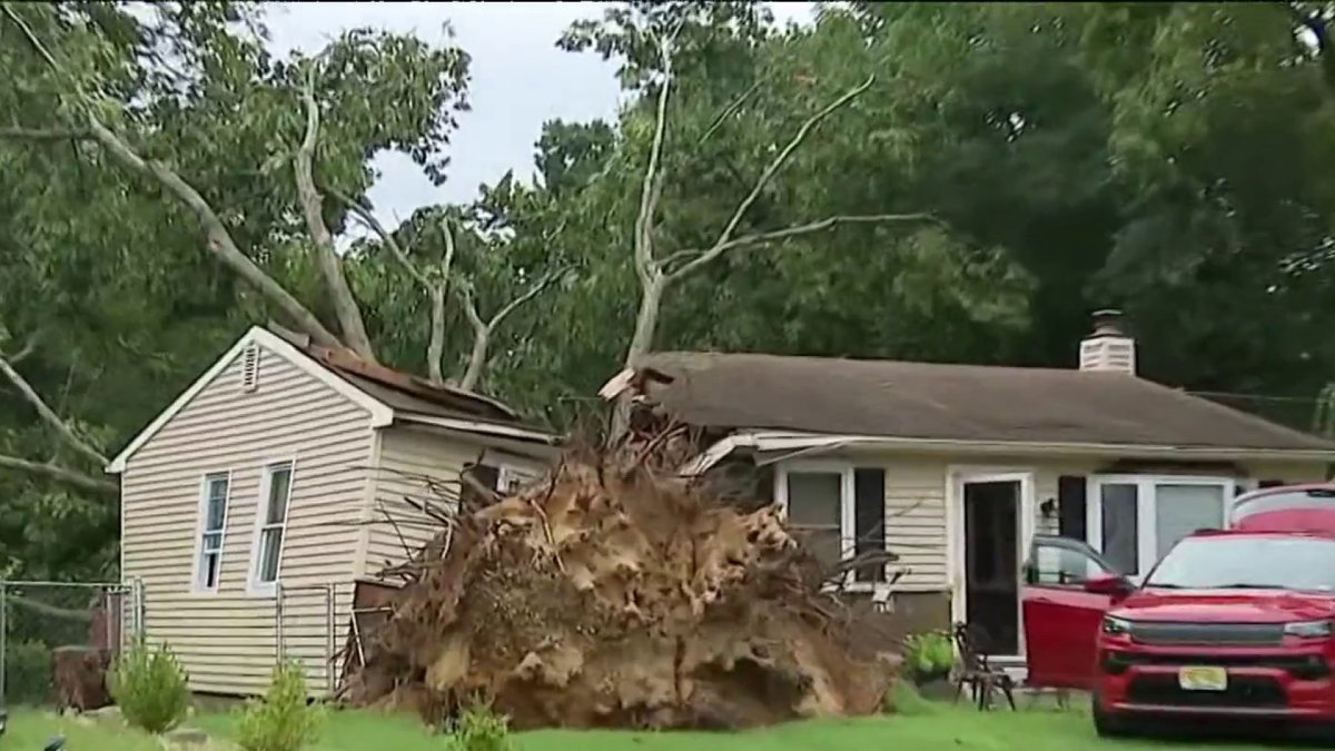 Residents describe terrifying ordeal after tree splits South Jersey home in half