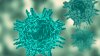 Pennsylvania reports 5th measles-related death in the state